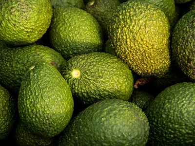 Avocado Image